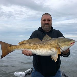 Meet your Posher, Randy